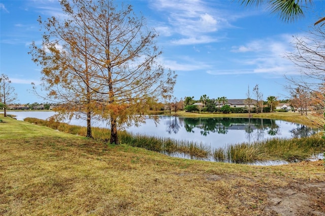 view of water feature