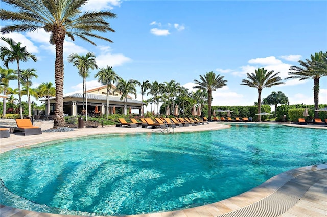 view of swimming pool featuring a patio area