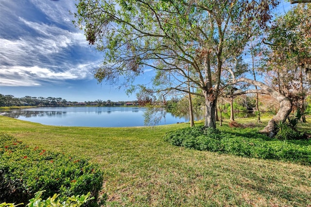 property view of water