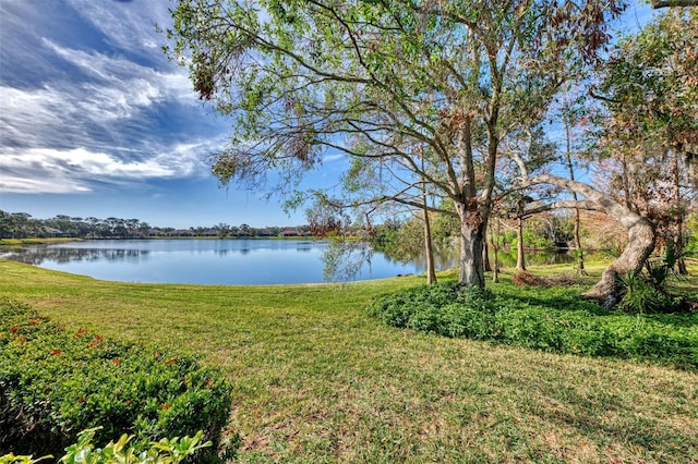 4914 Lakescene Pl, Sarasota, FL 34243 - photo 3