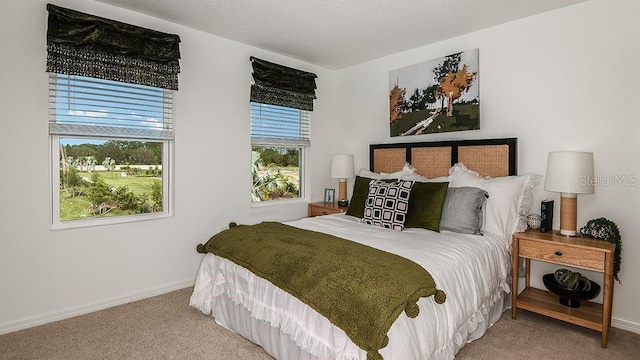 bedroom featuring carpet