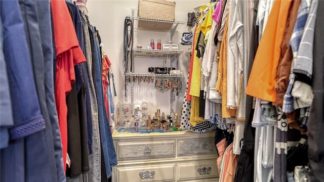 view of spacious closet