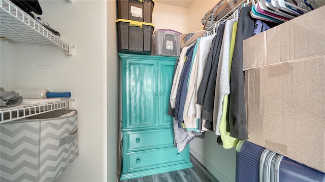 spacious closet featuring wood-type flooring