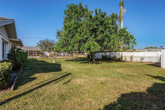 807 62nd St W, Bradenton, FL 34209 - view of yard