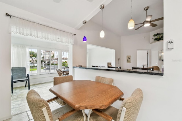 dining space with ceiling fan