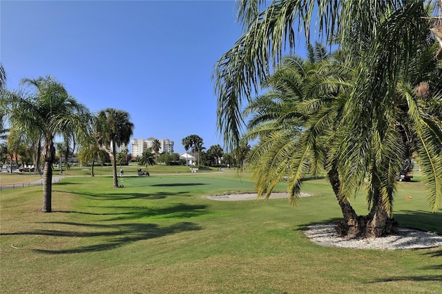 view of property's community with a lawn