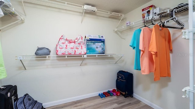 spacious closet with wood-type flooring