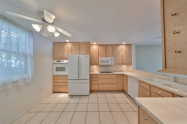 kitchen featuring sink, white appliances, plenty of natural light, and light brown cabinets