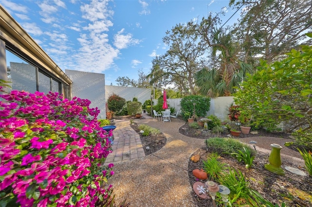 view of yard with a patio area