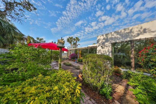 view of yard featuring a patio area