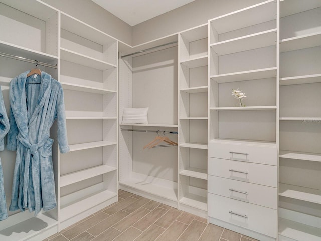 view of walk in closet