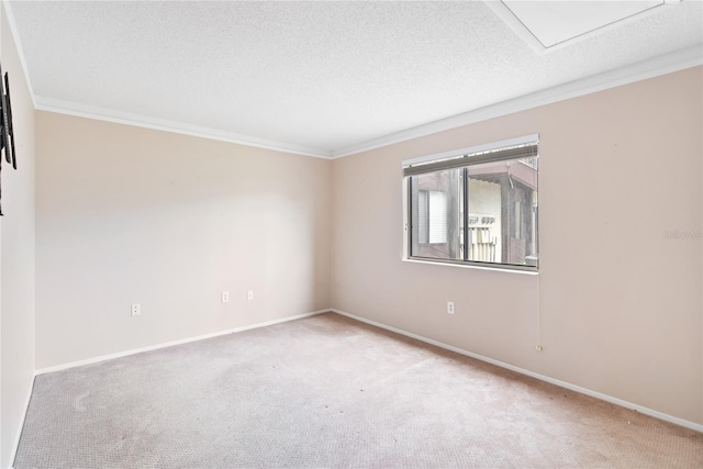 carpeted spare room featuring a textured ceiling and crown molding