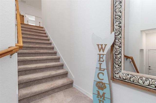 stairway featuring carpet floors