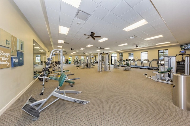 workout area featuring a paneled ceiling, carpet floors, and ceiling fan