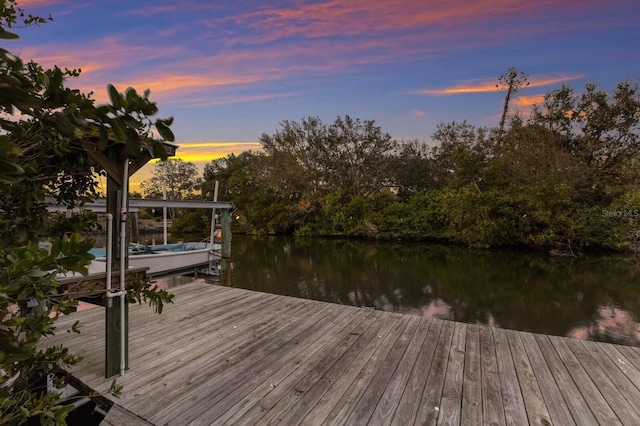 dock area with a water view