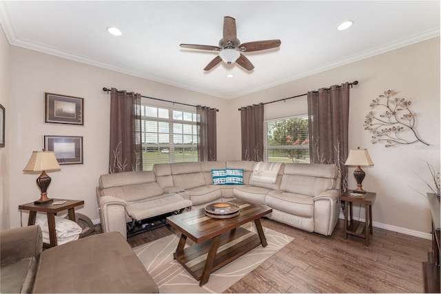 living room with hardwood / wood-style flooring, ceiling fan, and ornamental molding