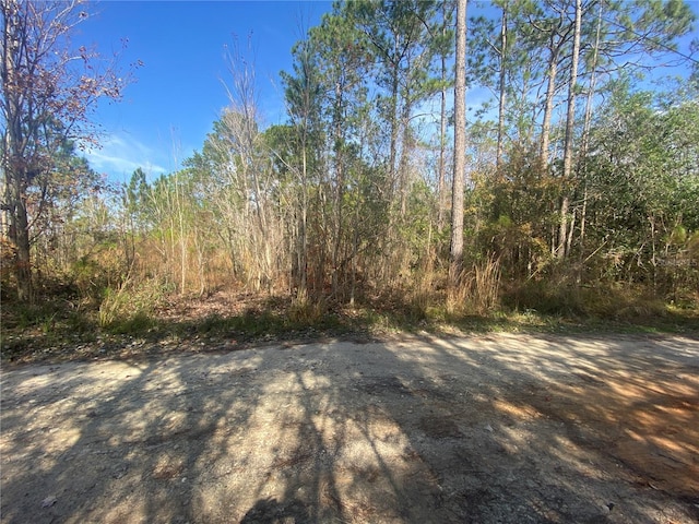 TBD Oil Well Rd, Clermont FL, 34714 land for sale