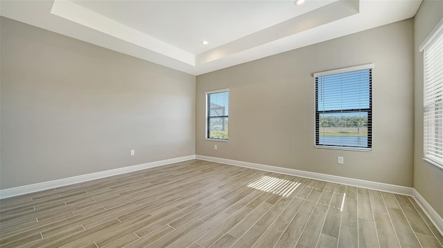 spare room with a wealth of natural light and a tray ceiling