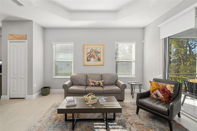 living room with a raised ceiling