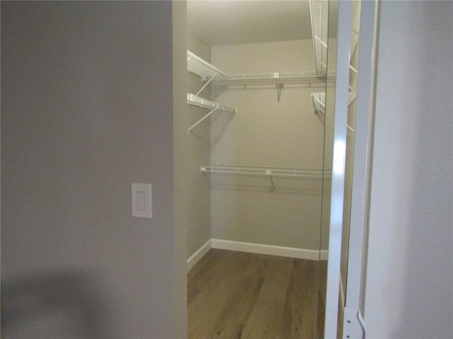 spacious closet with hardwood / wood-style floors