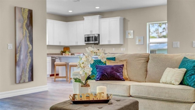 living room featuring hardwood / wood-style floors