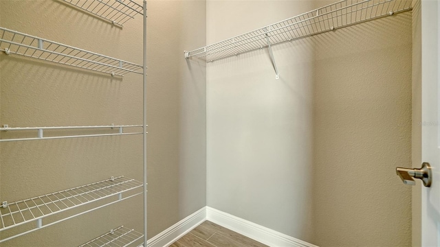 walk in closet with wood-type flooring