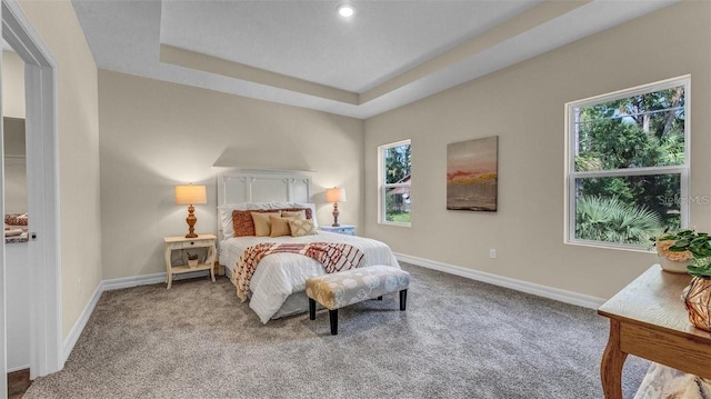 bedroom featuring light colored carpet and a raised ceiling