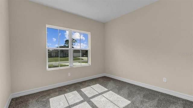 empty room featuring carpet