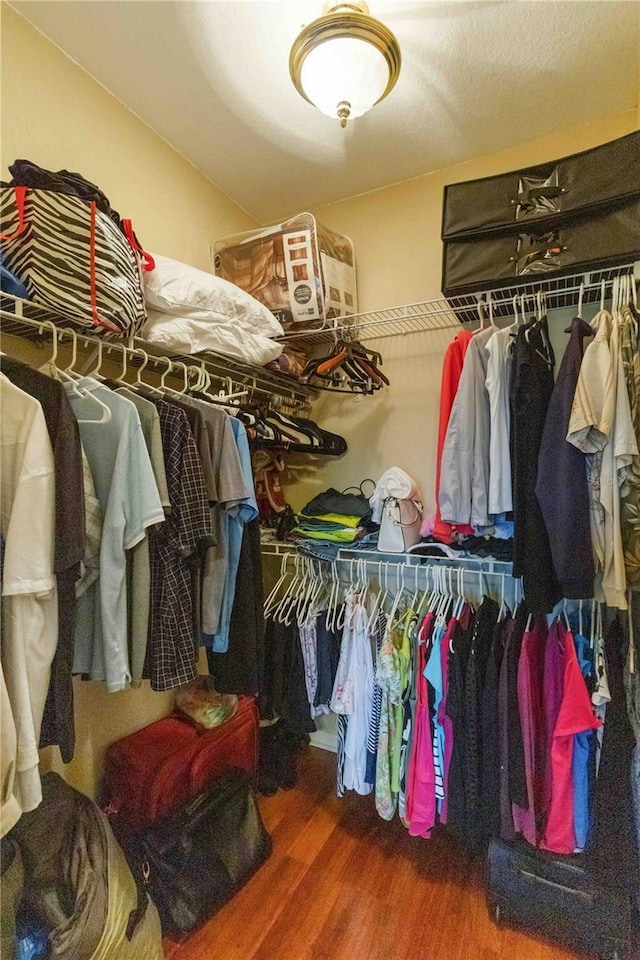 walk in closet featuring dark wood-type flooring