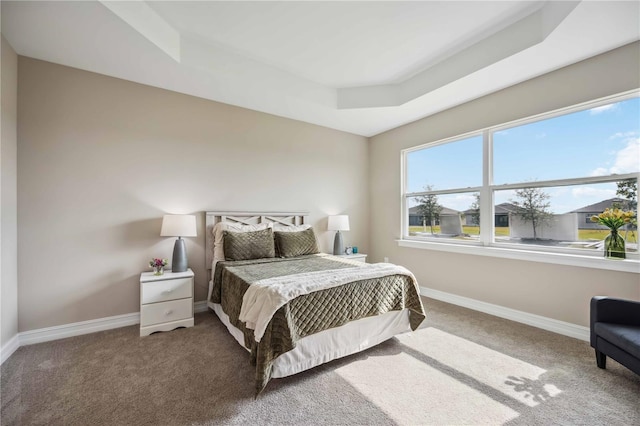 carpeted bedroom featuring a tray ceiling