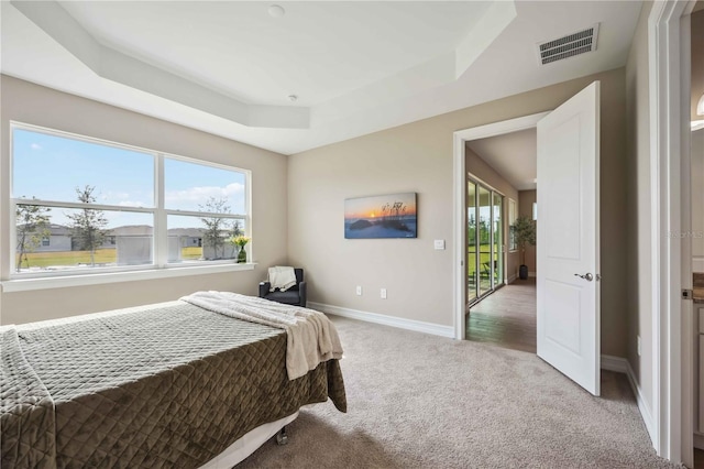 bedroom featuring a raised ceiling and carpet