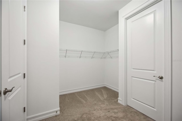 walk in closet with light colored carpet