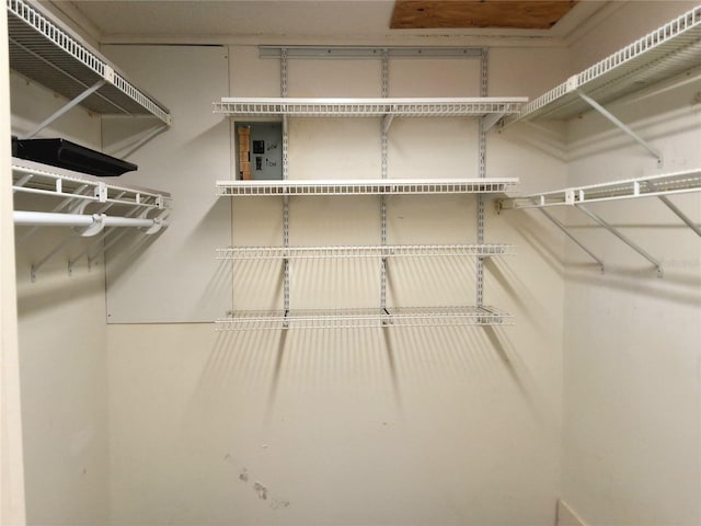 view of walk in closet