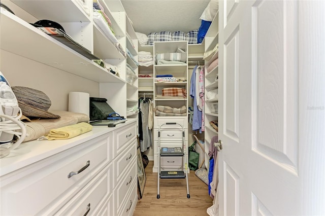 spacious closet featuring light hardwood / wood-style flooring