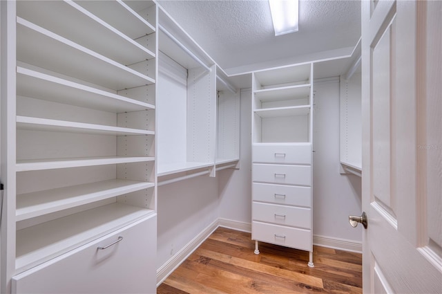 spacious closet with hardwood / wood-style floors