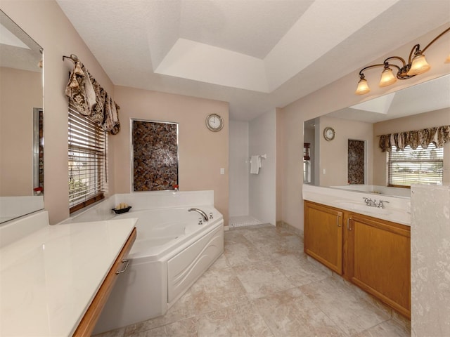 bathroom featuring vanity, a washtub, and a raised ceiling