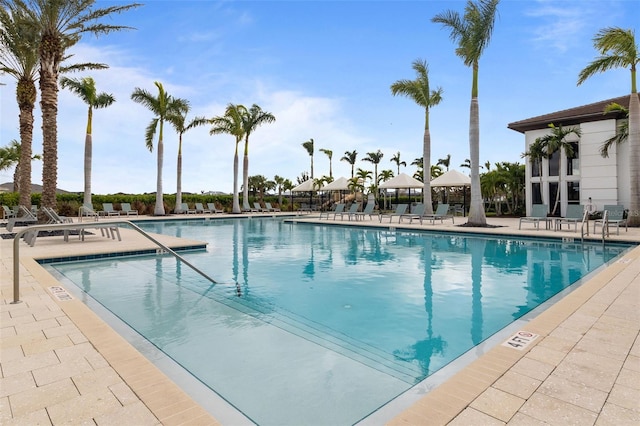 view of pool with a patio area