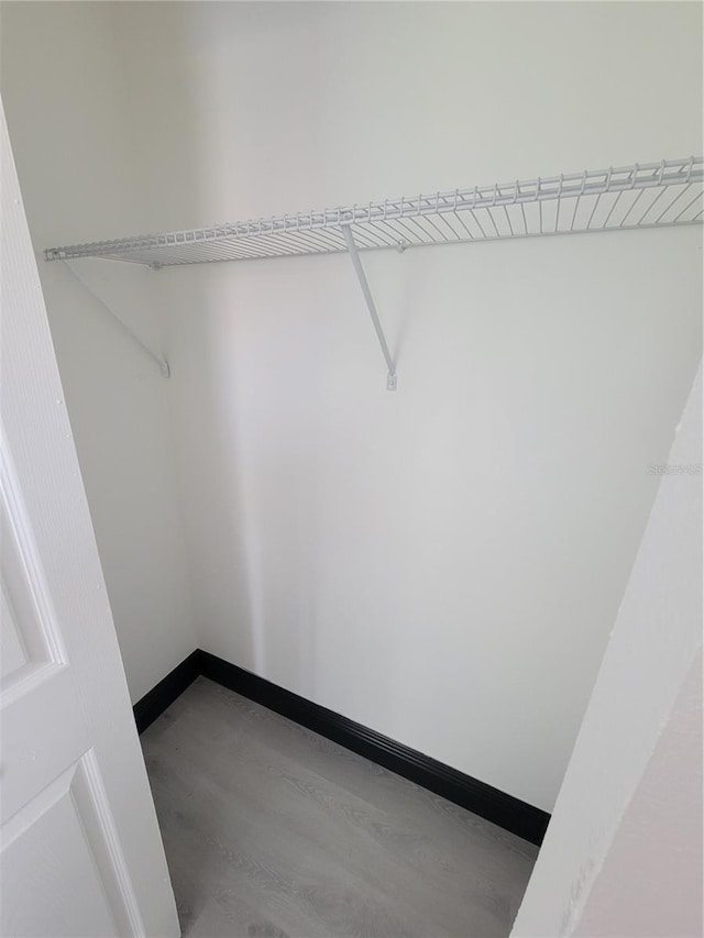 spacious closet featuring wood-type flooring