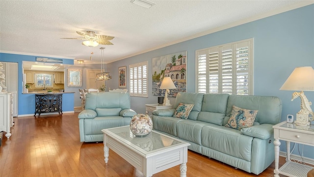 living room with hardwood / wood-style flooring, crown molding, sink, and a textured ceiling