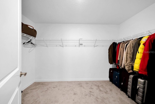 walk in closet with light colored carpet