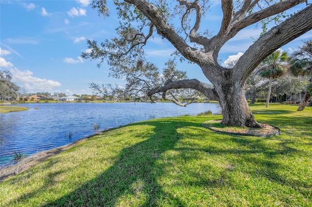 property view of water