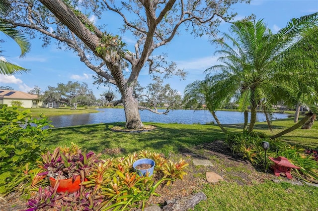 view of yard featuring a water view