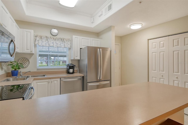 kitchen featuring crown molding, appliances with stainless steel finishes, sink, white cabinets, and a tray ceiling