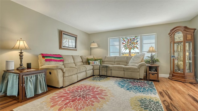 living room featuring hardwood / wood-style flooring