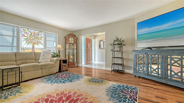 living room with hardwood / wood-style floors