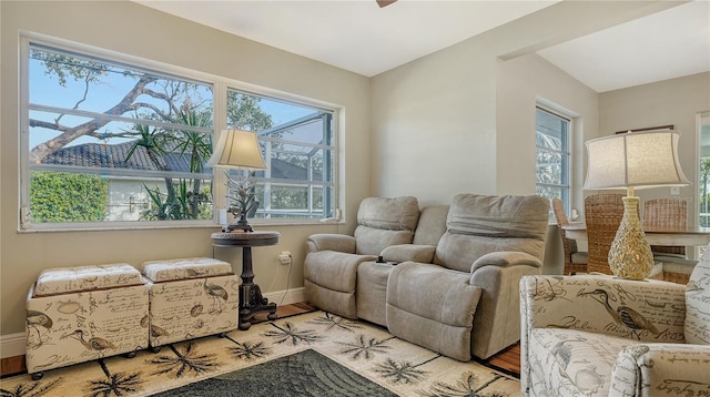 living room featuring hardwood / wood-style floors