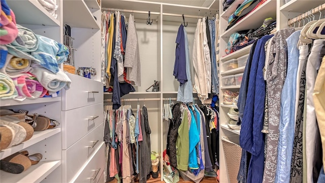 view of spacious closet