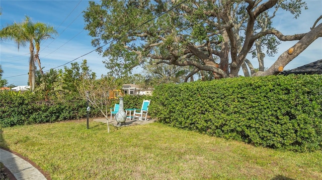 view of yard featuring a playground