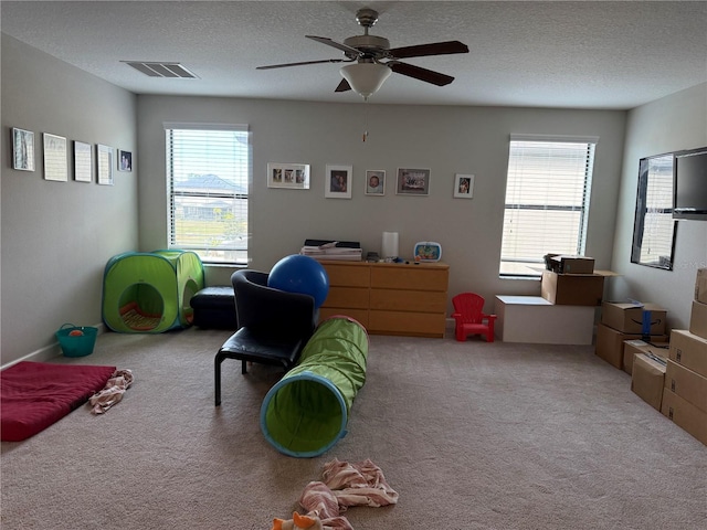 home office featuring a healthy amount of sunlight, light colored carpet, and a textured ceiling