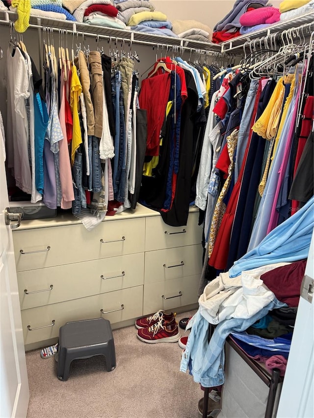 walk in closet featuring carpet flooring